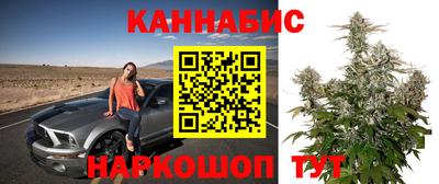 винт Будённовск