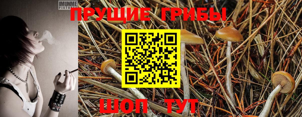 Галлюциногенные грибы мухоморы  Вход с VPN  Псилоцибиновые грибы GOLDEN TEACHER  Кстово 